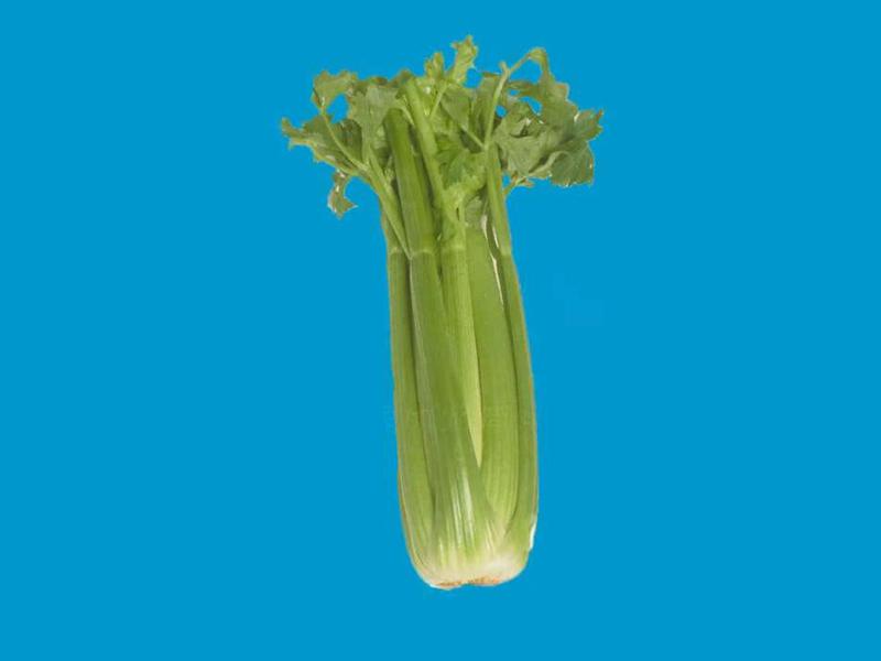 芹菜具体分为哪些种类
