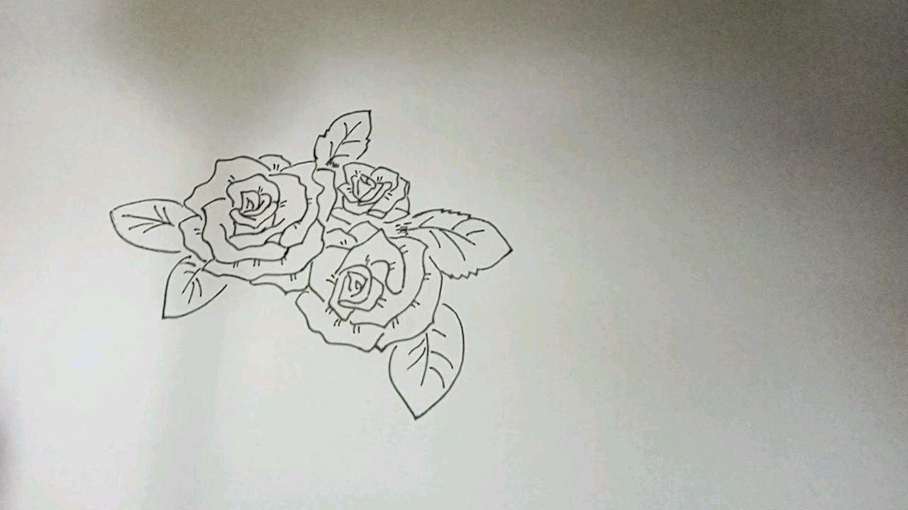 一片玫瑰花瓣怎么画图片