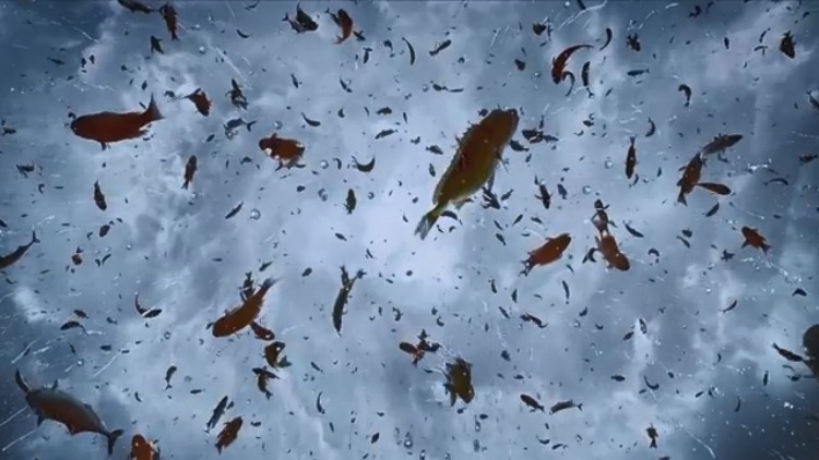 一出好戏:黄渤饿得眼都绿了,天上竟然下起鱼,多的堆成山