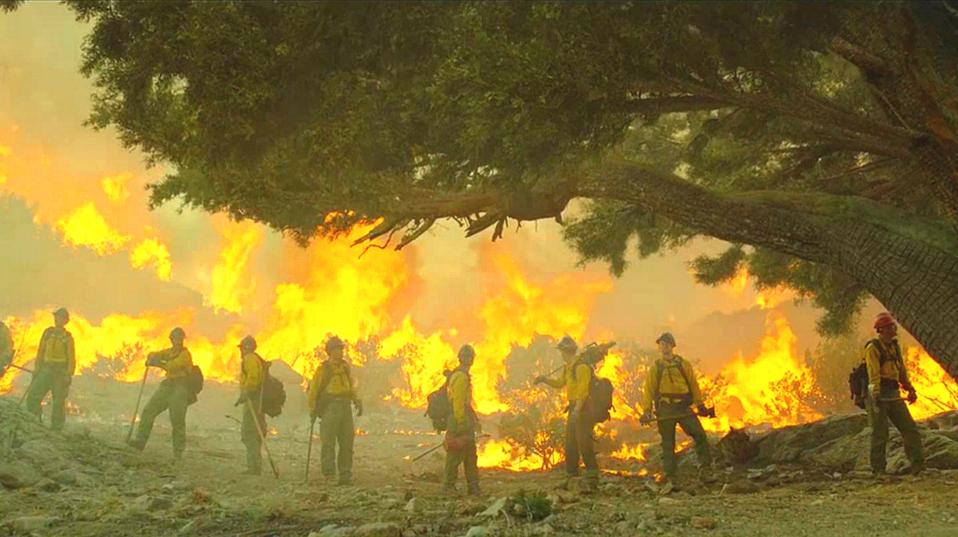 不寒而栗,9部史诗级灾难片,部部场面震撼人心