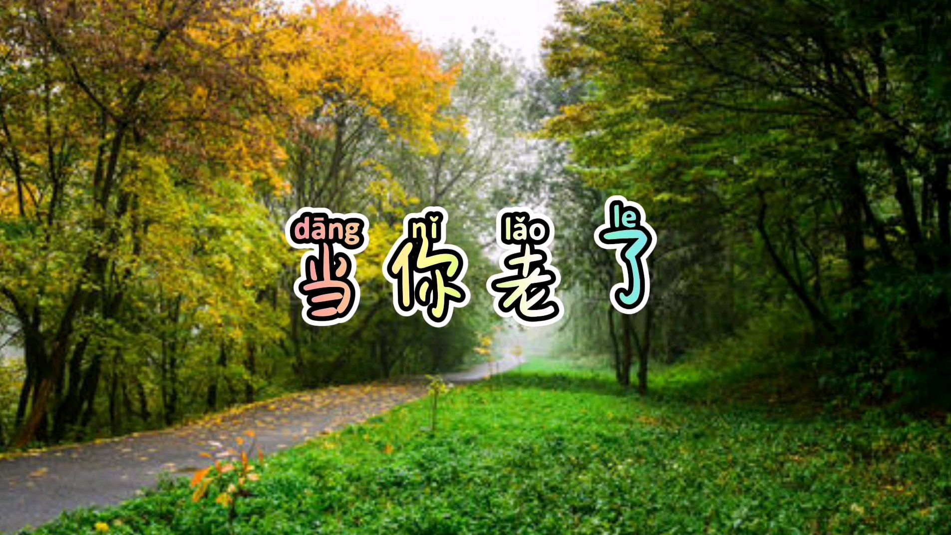 歌曲《当你老了》