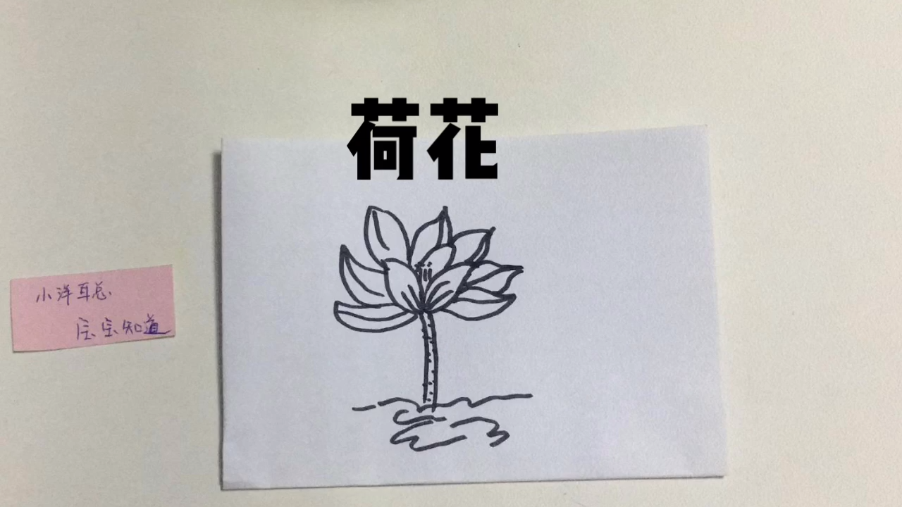 简笔画怎么画荷花