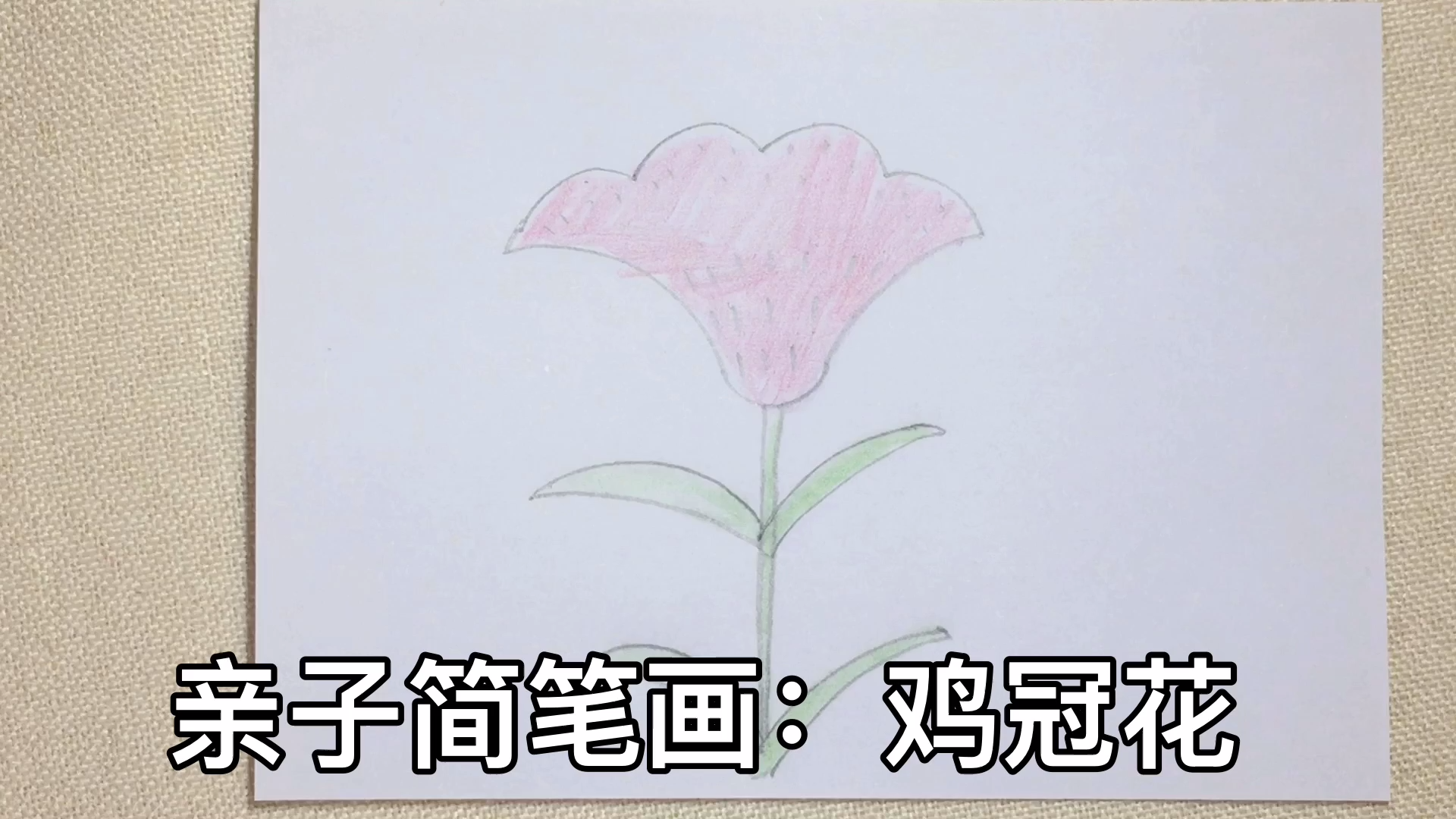 親子簡筆畫:雞冠花