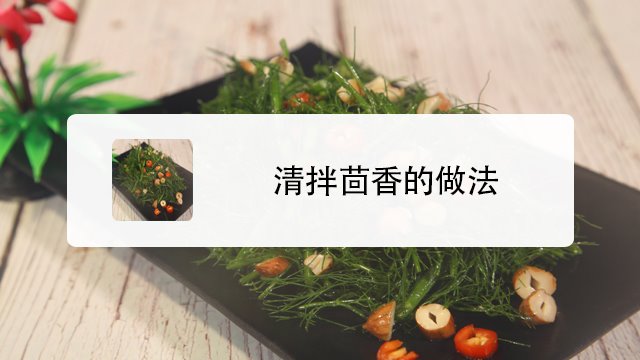 被遗忘的美食 茴香 你还记得怎么吃吗