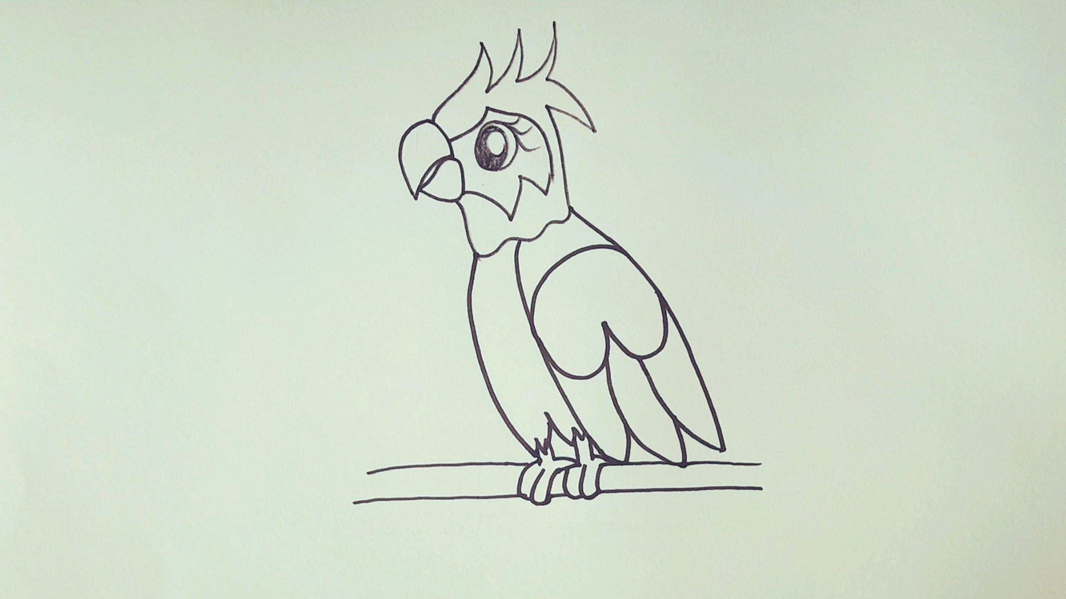 1鹦鹉:先画出鹦鹉的大概轮廓,画出五官和羽毛,然后进行勾边,最后涂上