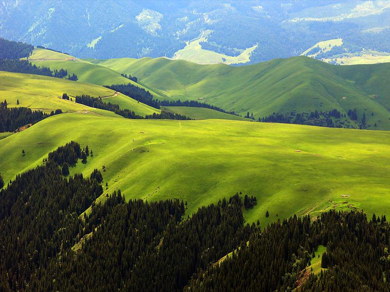 「秒懂百科」一分钟了解喀拉峻草原