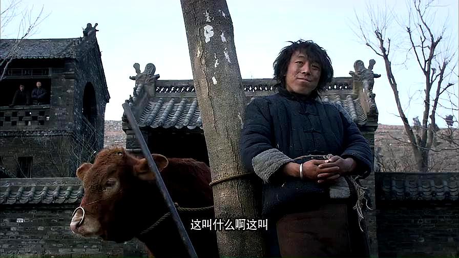 斗牛:一头奶牛引起全村围观,黄渤说它有病,咋还能产奶