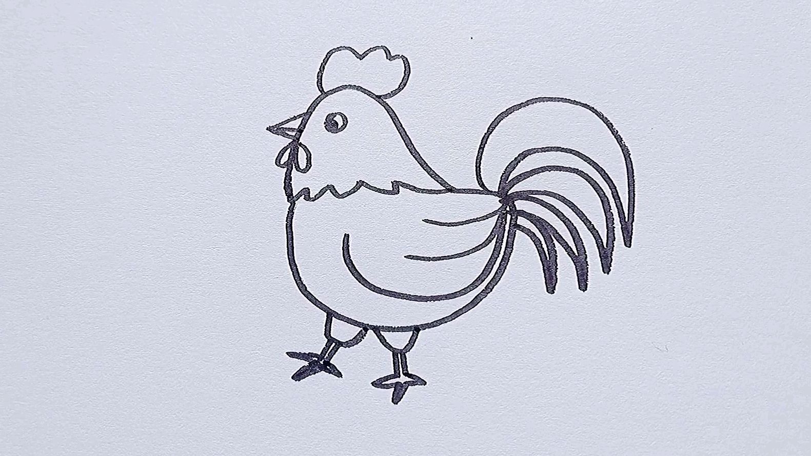 画画鸡简单图片