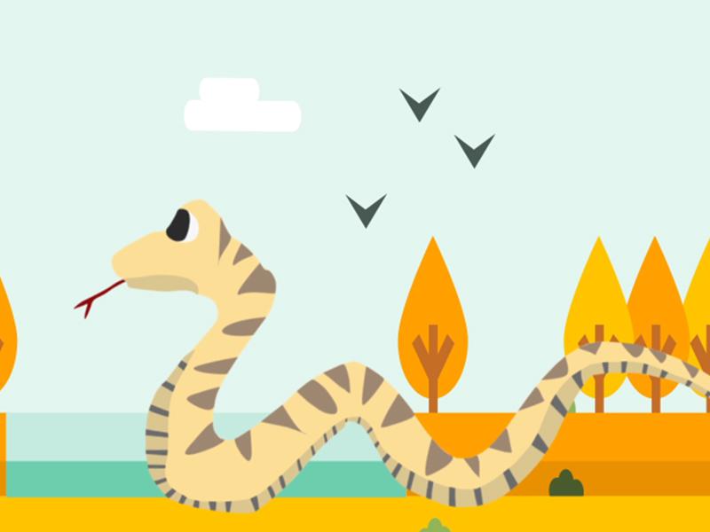 细鳞太攀蛇为什么是陆地最毒的蛇?