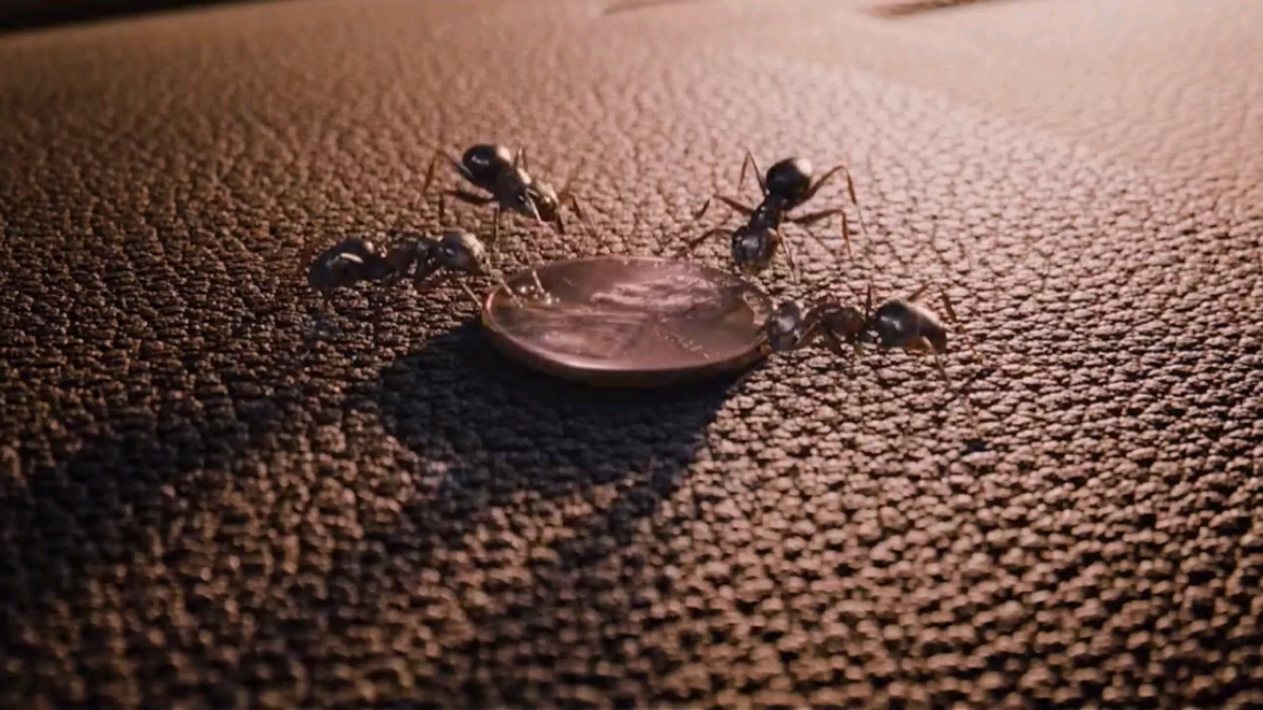 豆瓣七分的好看电影合集