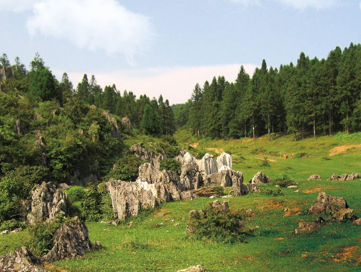 【秒懂百科】一分钟带你游彭水摩围山景区