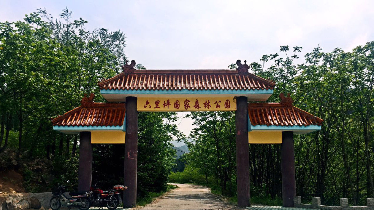 一分钟带你游遍六里坪国家森林公园