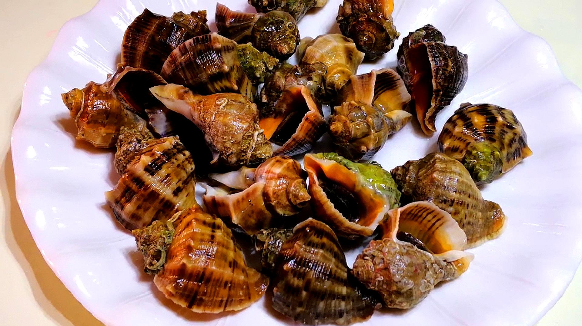 海螺的做法_【图解】海螺怎么做如何做好吃_海螺家常做法大全_天使dzsm_豆果美食