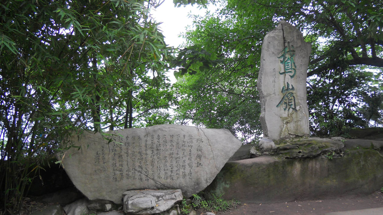 一分鐘帶你遊遍鵝嶺公園