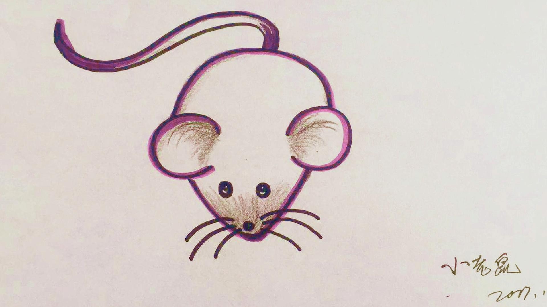 彩色老鼠简笔画,彩色老鼠简笔画图片大全