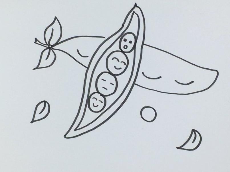 双重豌豆简笔画图片