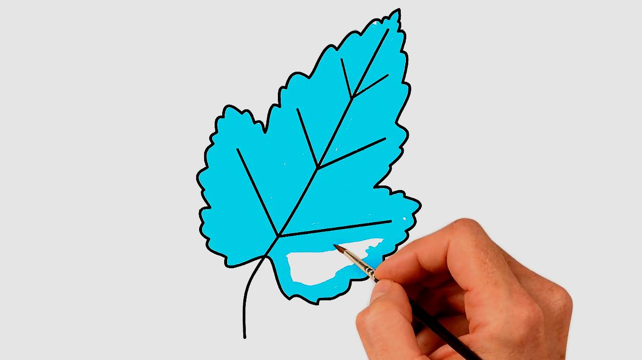 1树叶简笔画:用黑色的笔画出叶子的形状,注意根茎和纹路也要画哦,画好