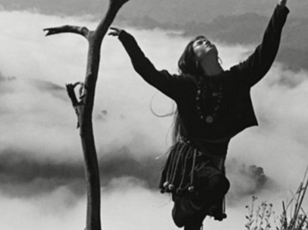 一分钟了解太阳鸟