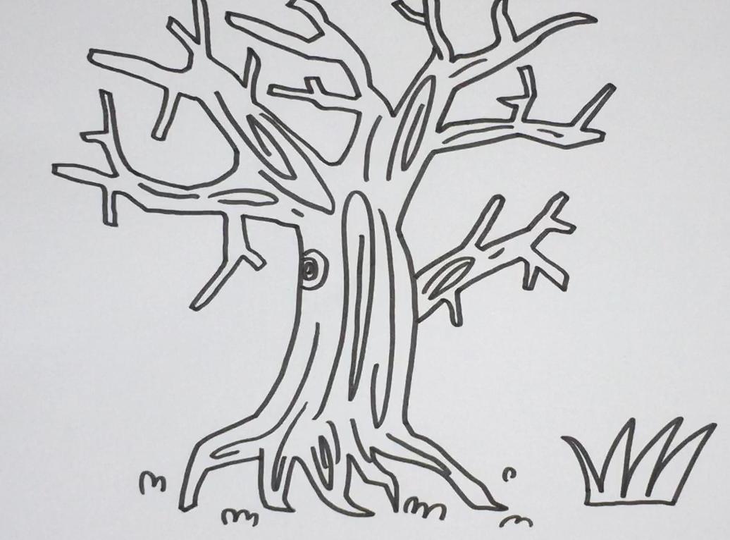 树干树枝简笔画大树图片
