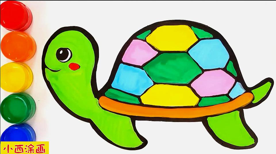 可爱乌龟简笔画 彩色图片