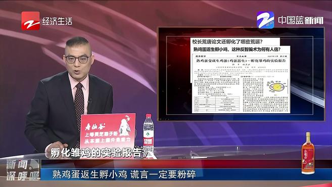 熟鸡蛋返生孵小鸡 谎言一定要粉碎