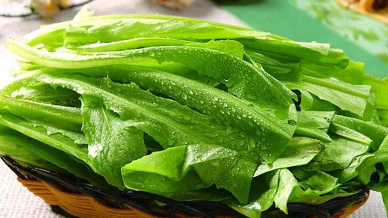 蔬菜越苦越养生