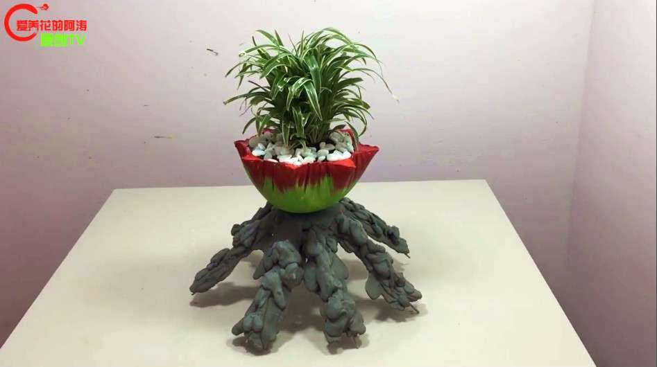 在家里栽培吊兰,什么样的花盆适合呢