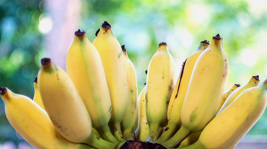 吃香蕉对身体有什么好处?