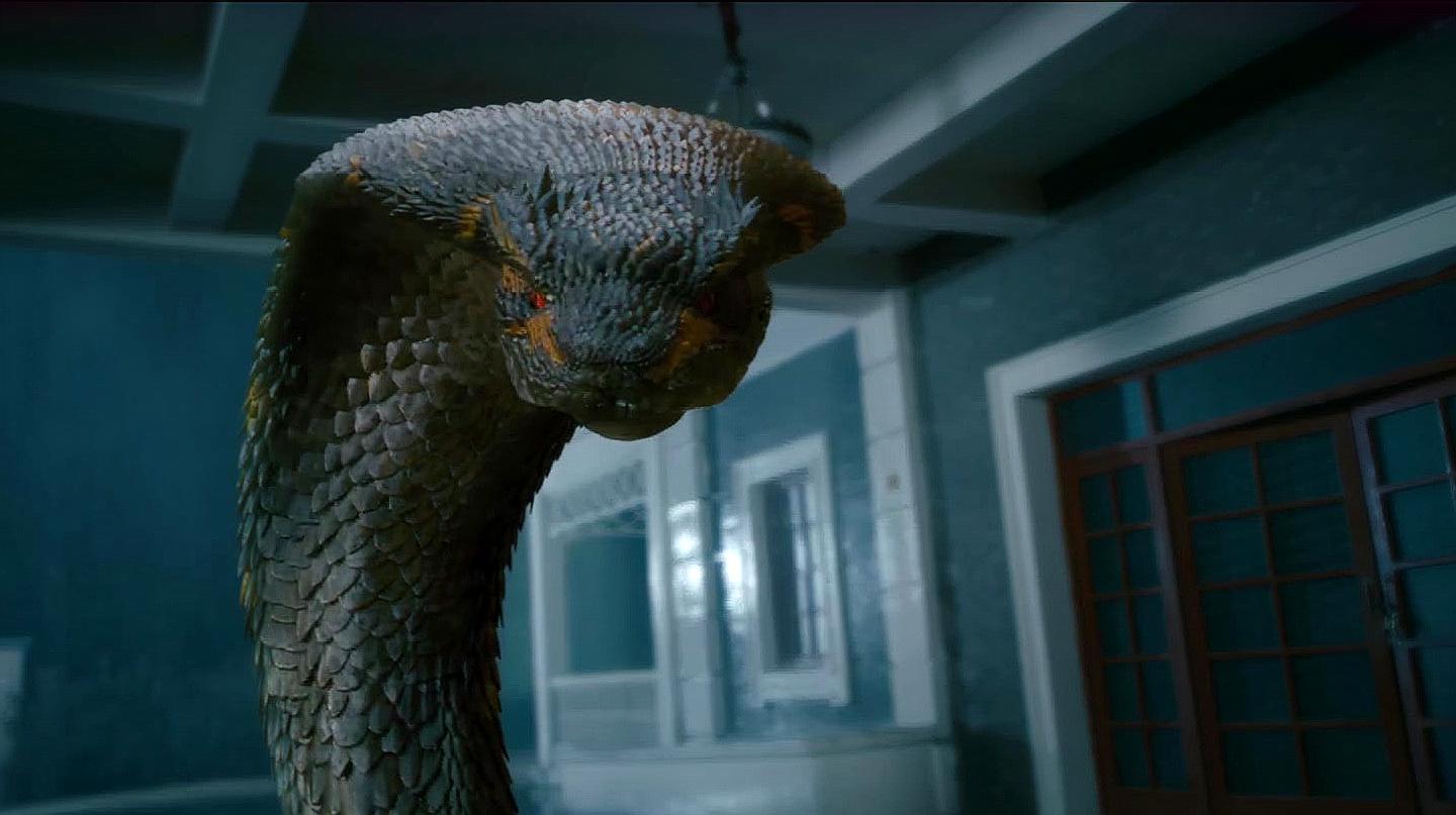 盘点有关蛇的10个恐怖影视视频,感受被大蛇的支配的恐惧,过瘾!