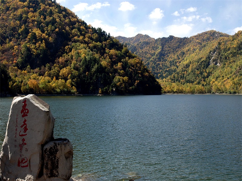 青海孟达国家级自然保护区