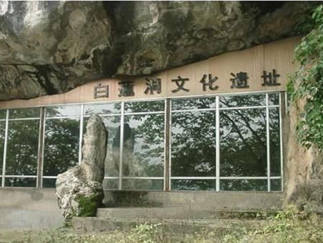 「秒懂百科」一分钟了解白莲洞洞穴科学博物馆