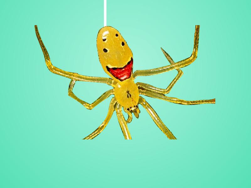 1笑脸蜘蛛:身上生有笑脸的花纹,腹部的地方色彩斑斓,看起来十分可爱