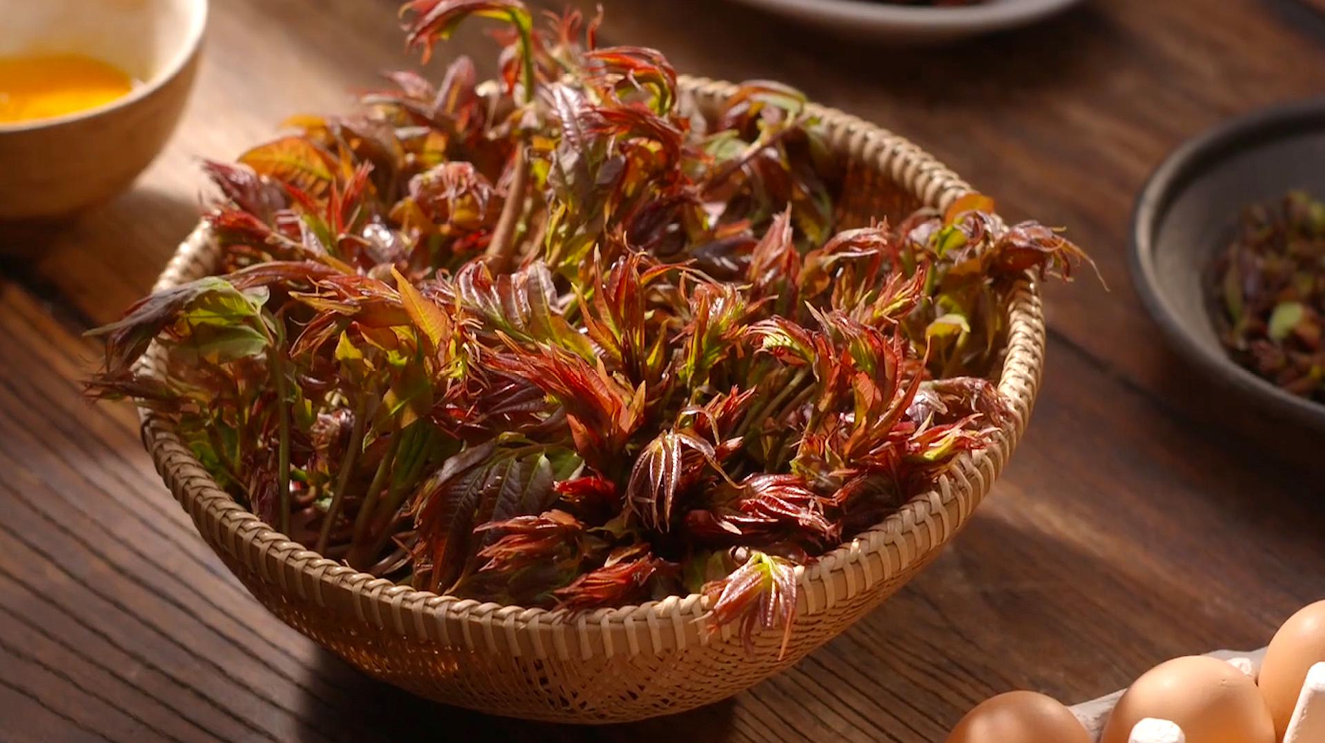 北京最嫩最香的红头香椿，第一茬采摘刚刚开始