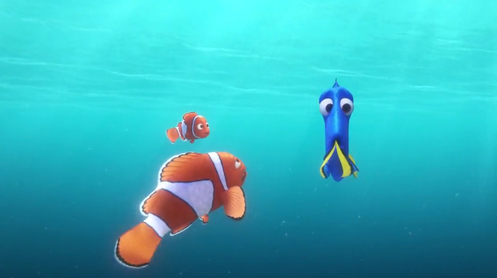 其实每一只海洋生物都是武林高手,带你走进《海底总动员2》