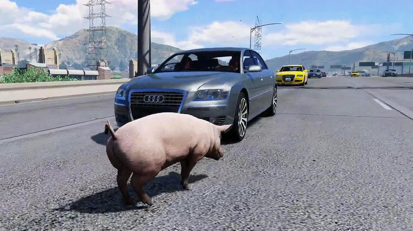 gta5:你见过会开车的猪吗?