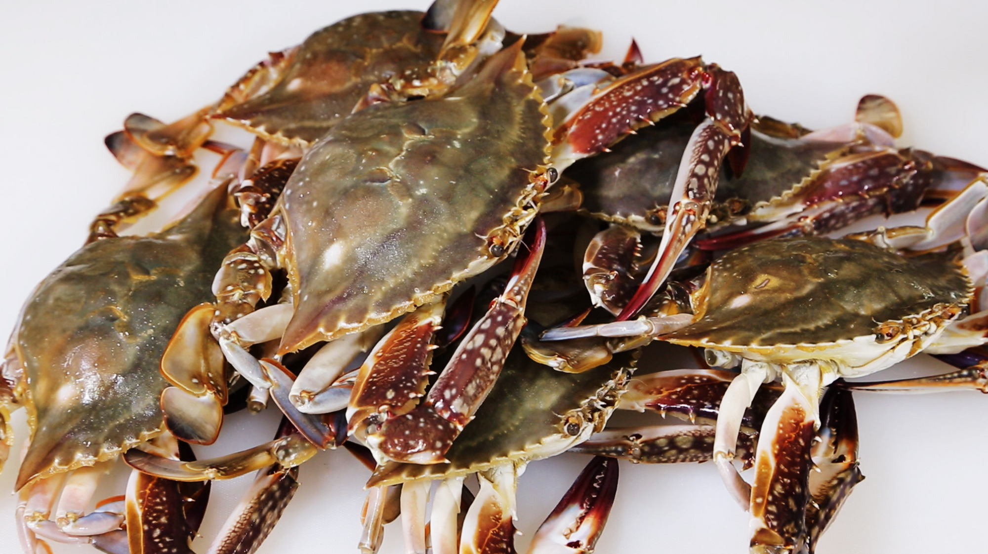 螃蟹的花样做法,鲜香味美又营养