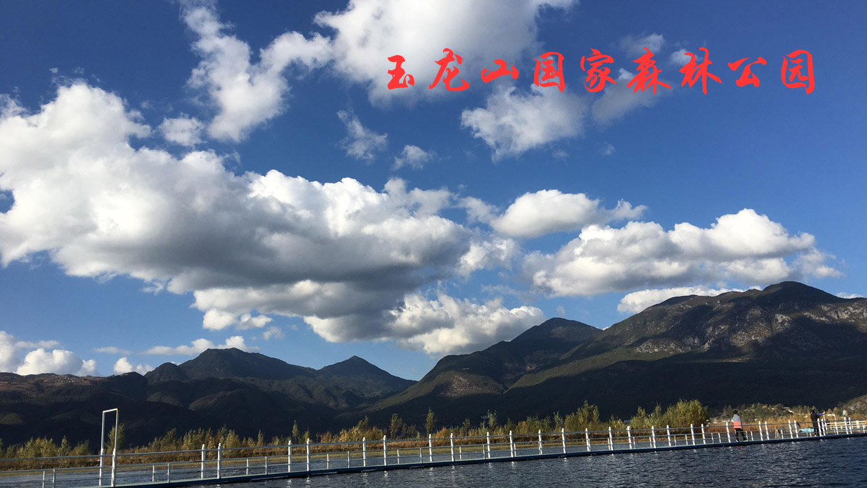 一分钟带你游遍玉龙山国家森林公园