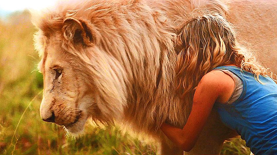 关于狮子的电影你看过几部?