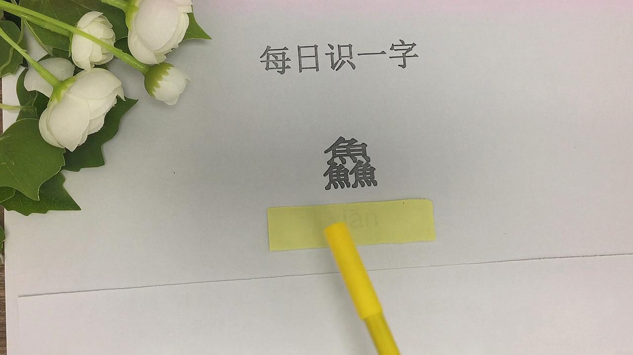 每日識一字:生僻字