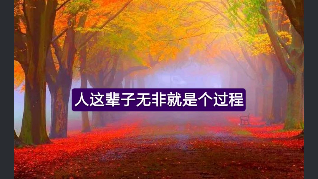 人這輩子無非就是個過程