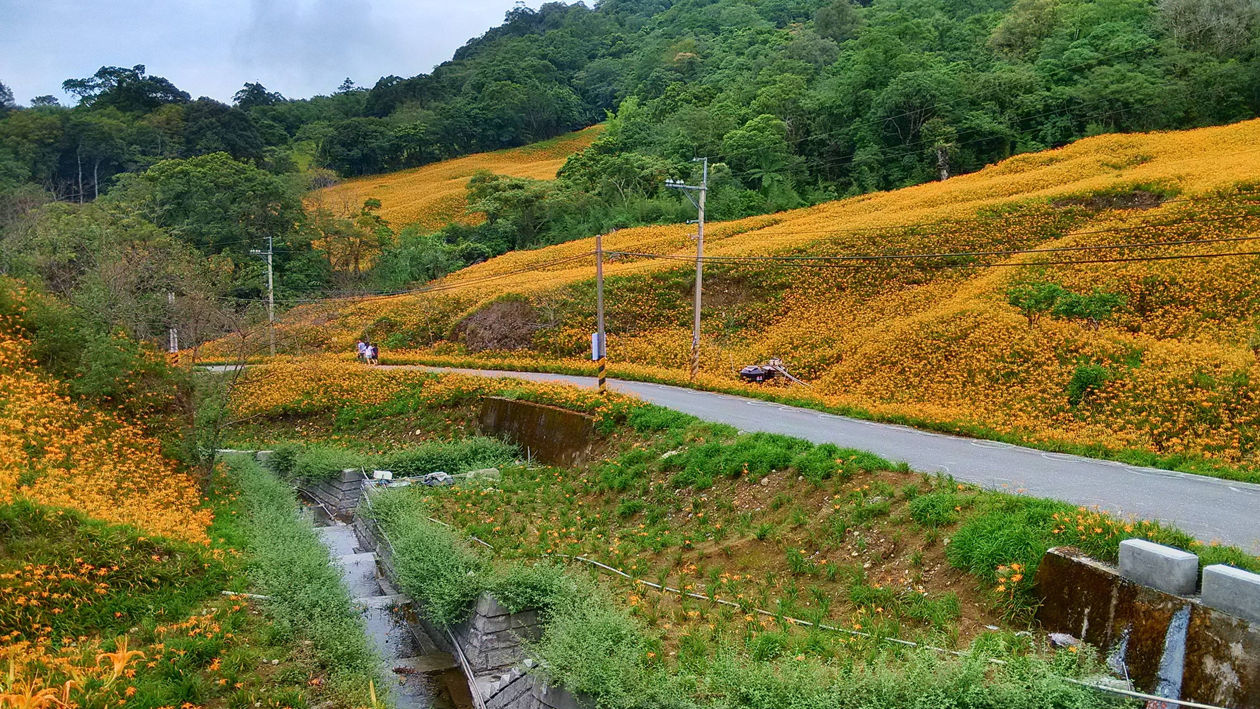 一分钟带你游遍花东纵谷