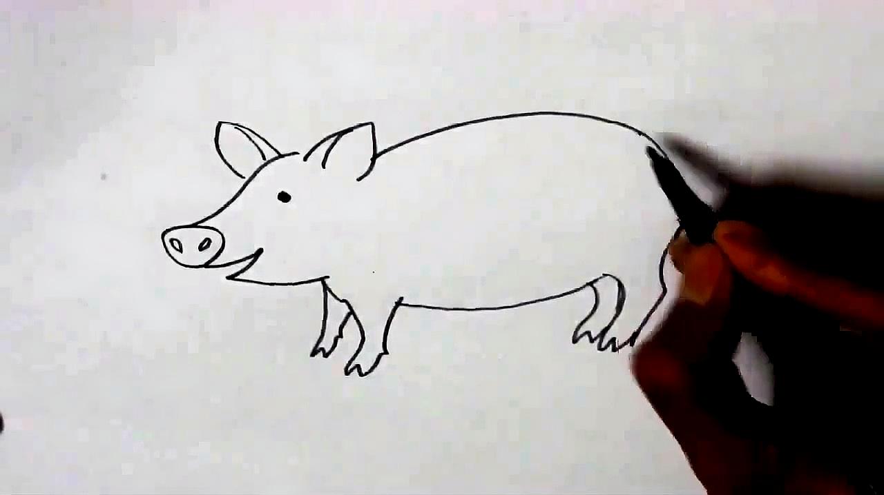 一笔画完猪 教学图片