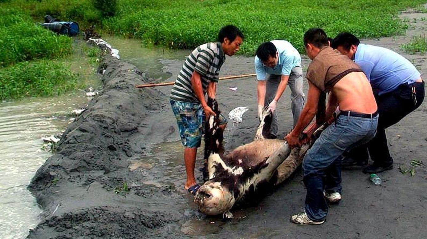 盘点六大奇闻趣事:老农犁地时挖出陶瓷碗,发现竟是国宝级文物