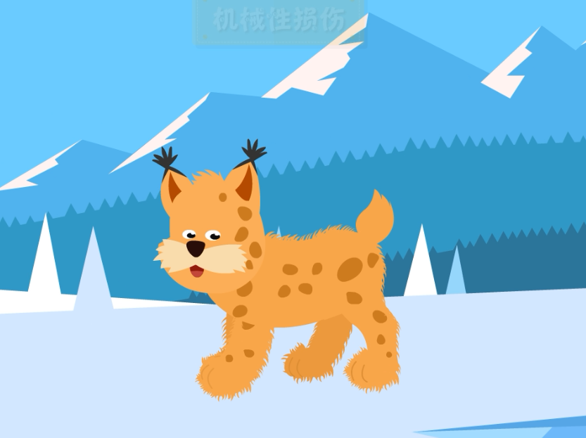 带你走进“百兽之王”猞猁的世界,遇狼杀狼,堪称猫科动物大佬