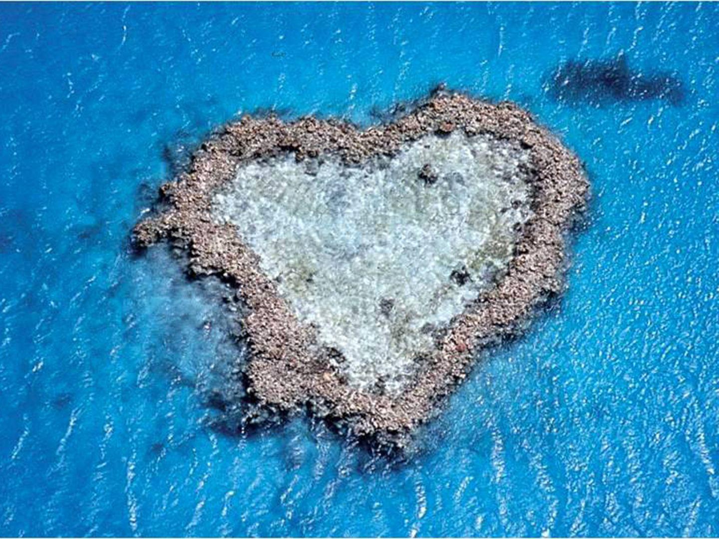 「秒懂百科」一分钟带你游遍心形岛