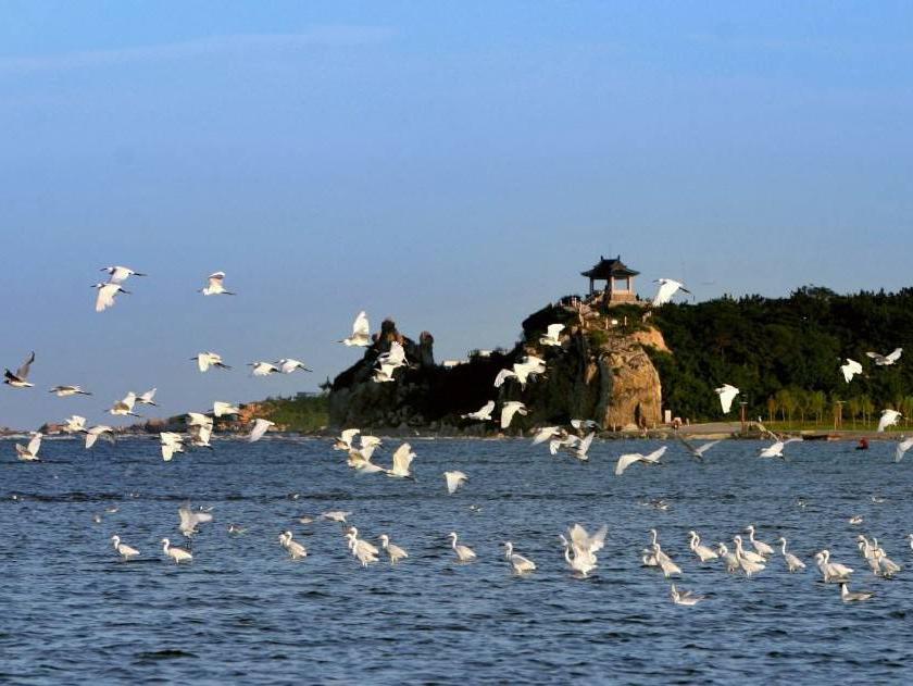 秦皇岛市内旅游景点图片