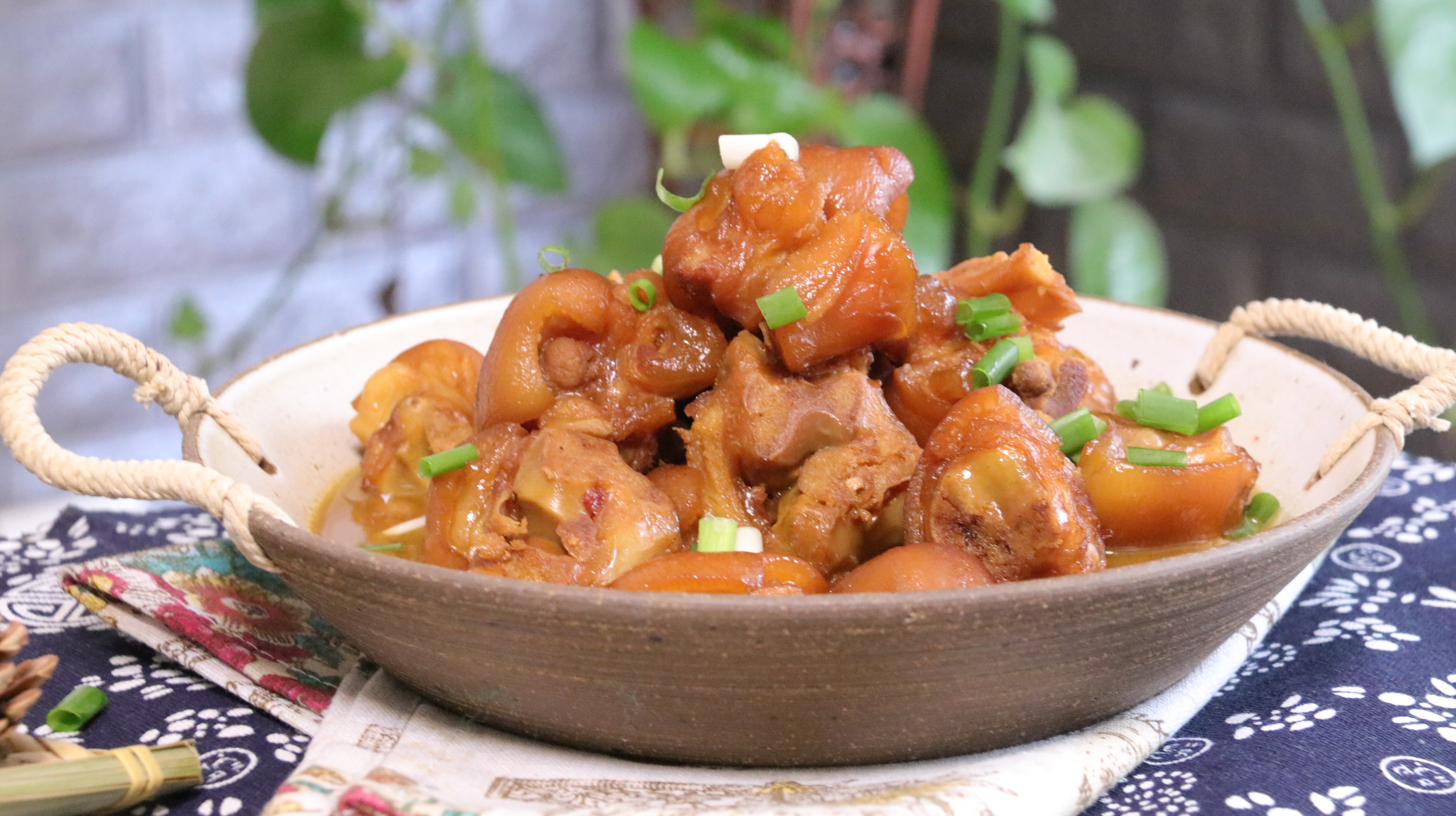 天天饮食红烧猪蹄图片