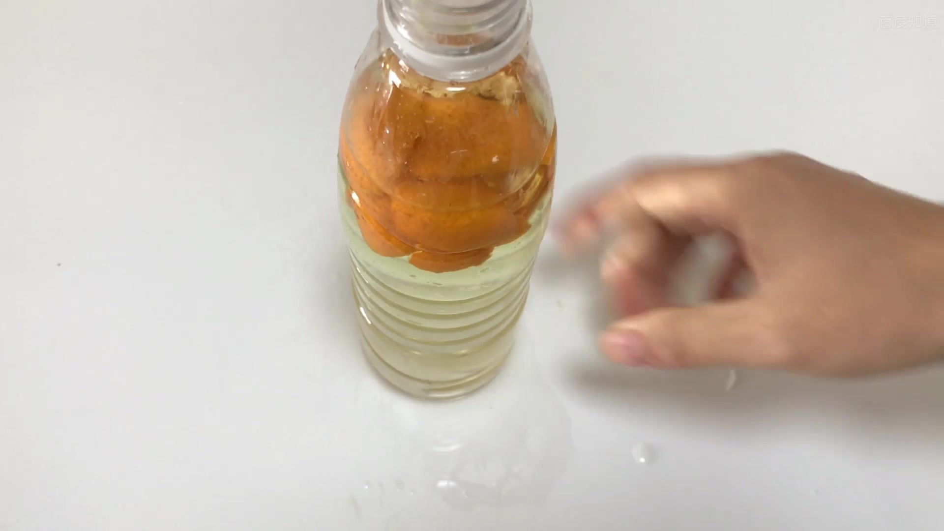 diy洗洁精,一年省下几百块