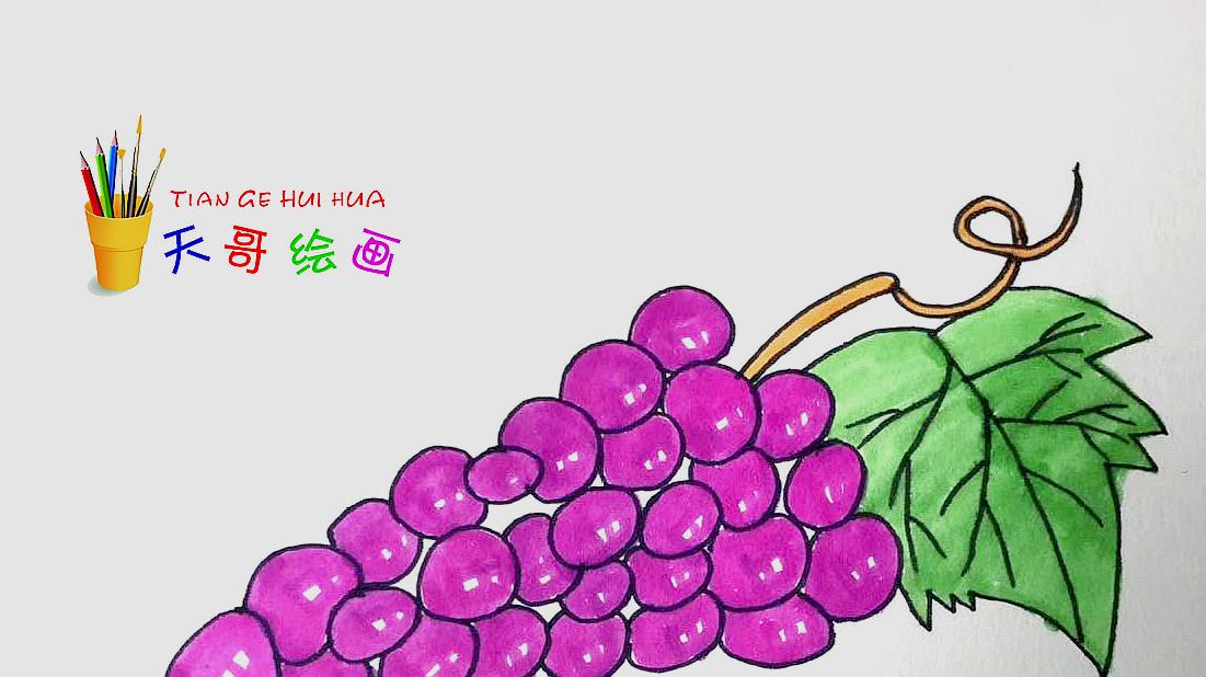 教你葡萄的画法,轻松就能上手!
