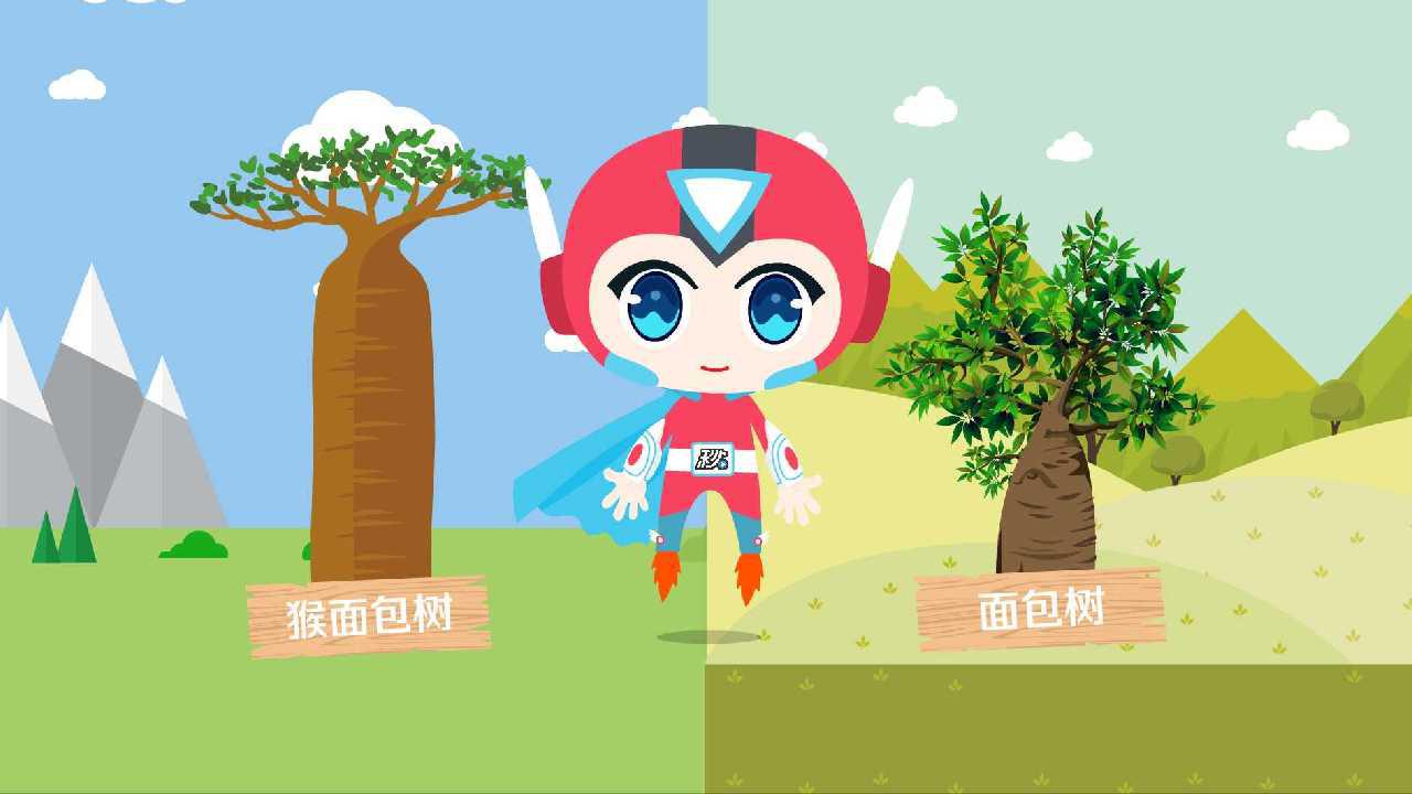 「秒懂少儿」面包树和猴面包树果实的区别?